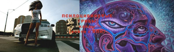 ALPHA PVP Аркадак