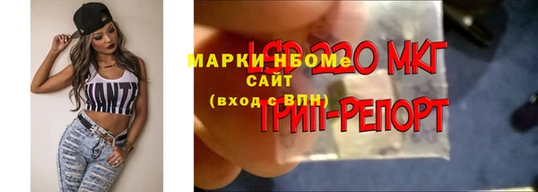 ГАЛЛЮЦИНОГЕННЫЕ ГРИБЫ Ахтубинск