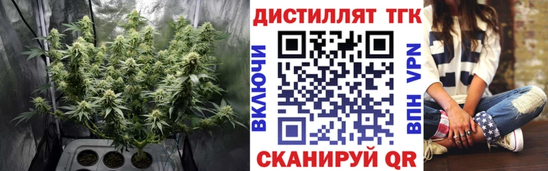 Дистиллят ТГК THC oil где купить наркотик Белорецк