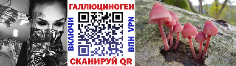 Галлюциногенные грибы GOLDEN TEACHER как найти закладки Белорецк
