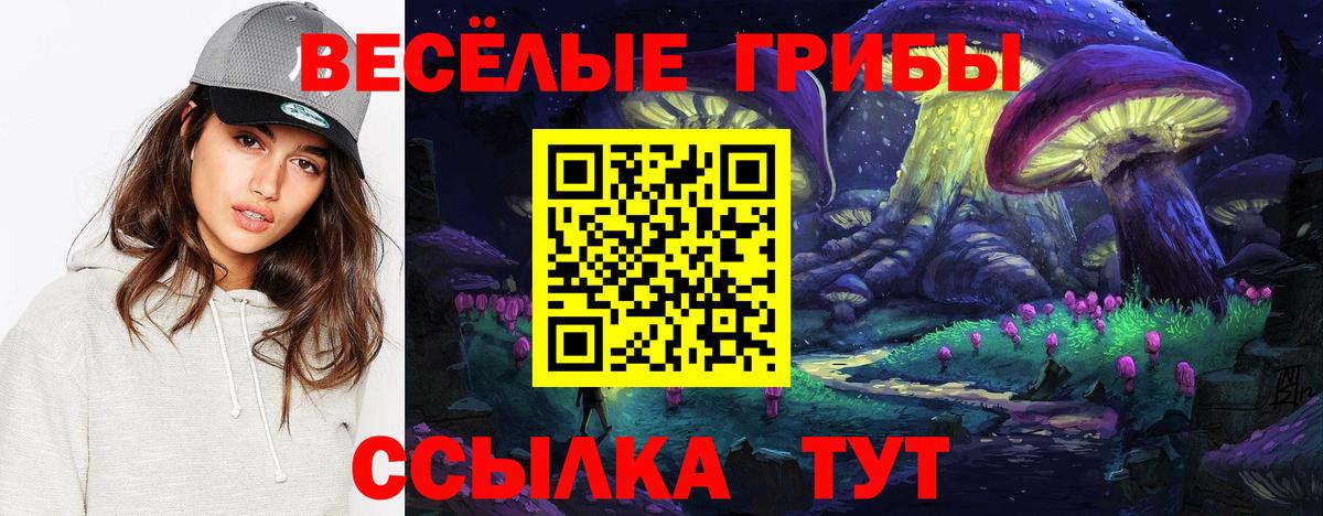 Белорецк  Галлюциногенные грибы Psilocybine cubensis  Галлюциногенные грибы мицелий  Вход с VPN 
